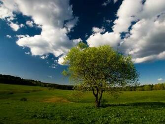 Natural Beautiful Wallpaper