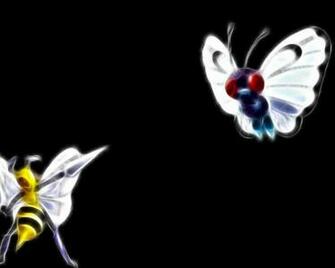 Pokemon Beedrill Butter Black Background 9eo8