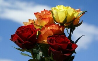 Tags Pink Rose Wallpaper Black Red Roses