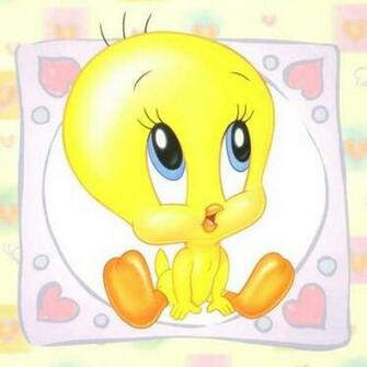 Tweety Bird Photo Hq Wallpaper