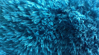 Light Blue Laptop Wallpaper