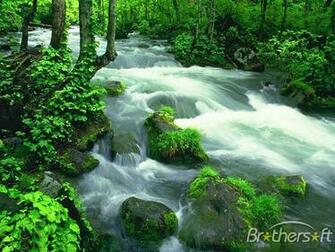 Nature Screensaver Beautiful