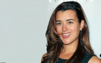 Cote De Pablo Ziva Big Sister Wallpaper Ncis