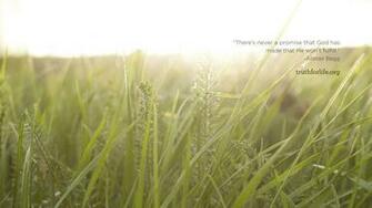 Wallpaper Promise Truth For Life