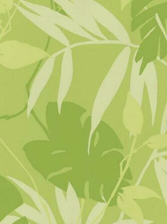 Interior Place Kiwi Tropical Leaves Wallpaper