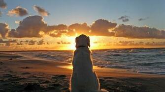 Beach Sunset Cool Pictures HD Wallpaper