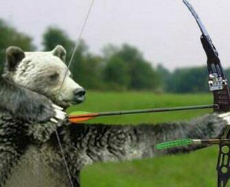 Archery Desicomments