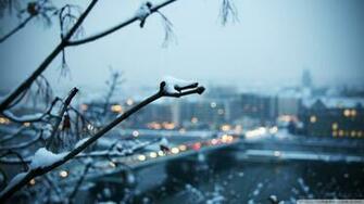 Cold Wallpaper Evening