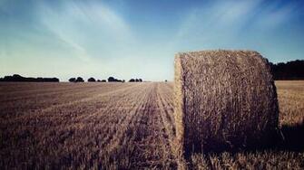 Hay Bale On The Field Wallpaper