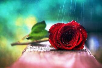Dreamtime Image L O V E HD Wallpaper And Background Photos