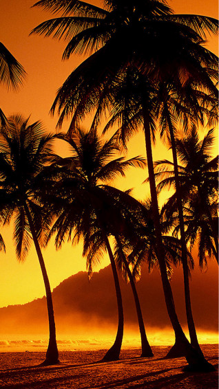 HD Beach iPhone Wallpaper