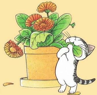 Wallpaper Chi S Sweet Home By Mausergirl
