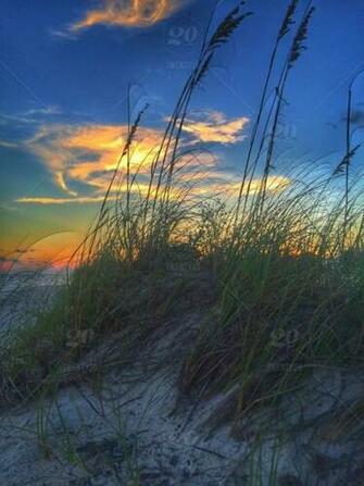 Nature Light Background Tranquility Background Tranquil Destin