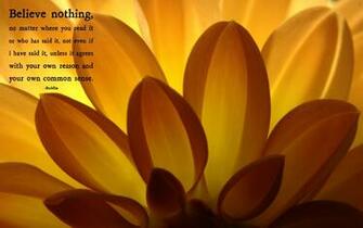 Buddha Quote Wallpaper