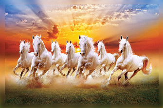 Running Horse Wallpaper 4k Begono