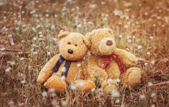 Wallpaper Love Toy Bear Pair Two Field