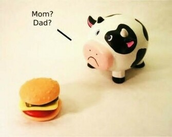 Funny Cows Wallpaper