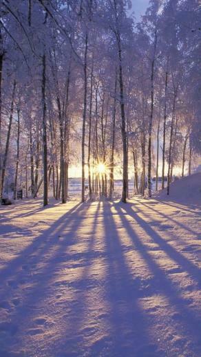 Winter iPhone Wallpaper Christmas And Some Other Stuff In