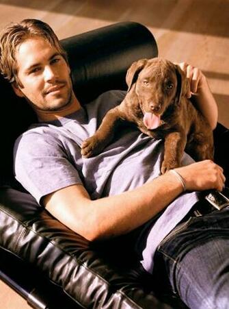 Rip Paul Walker