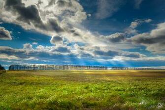Field Landscape Background High Quality Background