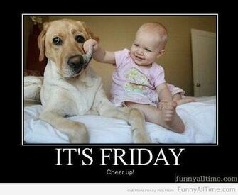 Funny Friday Quotes Widescreen Wallpaper