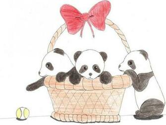 Cute Panda Anime Wallpaper