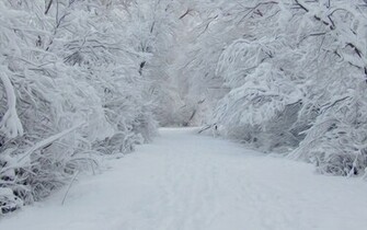 Winter Scenes Desktop Background Wallpaper9