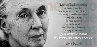 Primates Jane Goodall Animales And Monkey