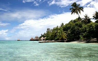 Tropical Island Wallpaper