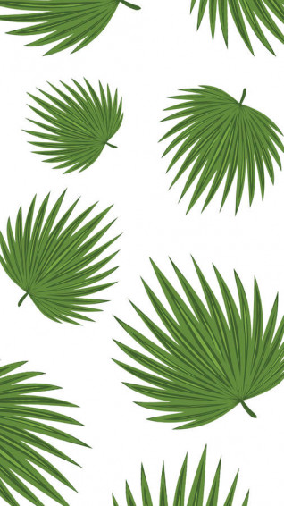 Minimalist Plant Wallpaper S