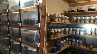 250lbs Of Psychedelic Mushrooms Seized In Sheepshead Bay Brooklyn