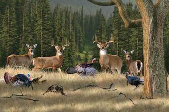 Whitetail Deer Art Kings Fine Print