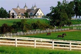 Horse Farm Wallpaper Foggy