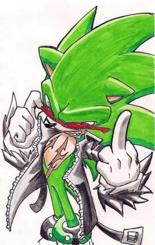 Scourge The Hedgehog Fanclub Photo