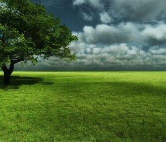 Nature Android Wallpaper Tablet Background