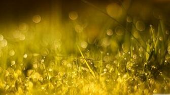 Wallpaper Full HD 1080p High
