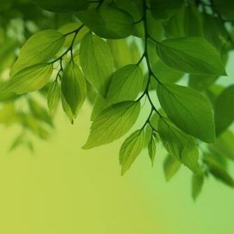 Ux Interface The Wallpaper Of Galaxy S4 Are Specially For Amoled