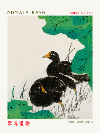 Coot Lotus Asian Birds Numata Kashu Wall Mural Buy Online