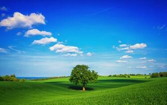 Ideal Landscape X Nature Photography Miriadna