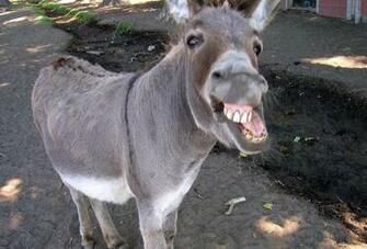 Ohio Sports Nation On Draymond After He Made That Shot