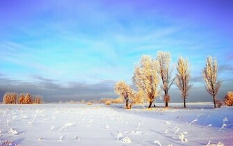 Wallpapertock Net Snowy Winter Landscape Wallpaper Html
