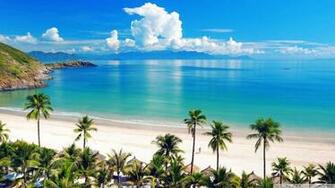 Wallpaper Sea Beach Palm 1080p HD Upload At February