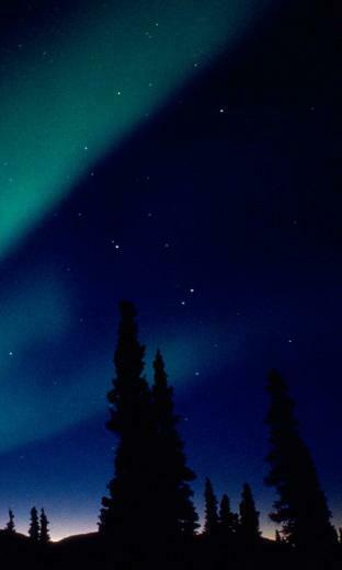 Today S Wallpaper From Our Gallery
