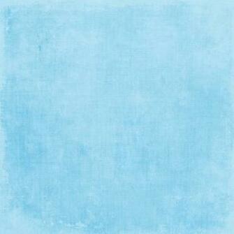 Pale Blue Background Photo Lweifenbach Hoot Solid3 Jpg