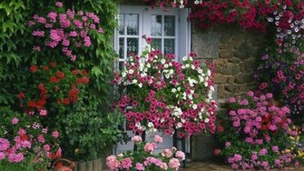 Garden Summer Wallpaper France Farmhouse