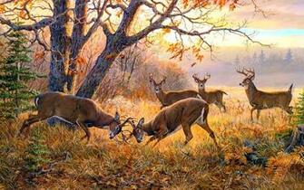 En Automne Les Cerfs Wallpaper