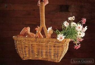 Anne Geddes Galleries Gallery Please Click On The