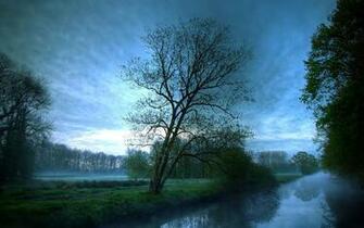 Morning Mist Wallpaper