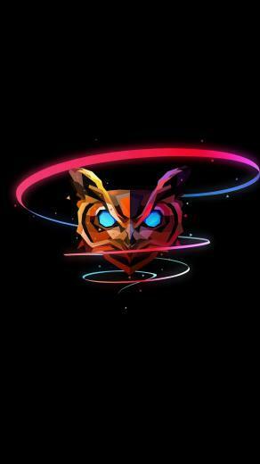Owl Colorful Muzzle Abstract Art Wallpaper In