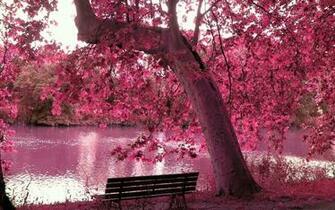 Category Color HD Wallpaper Subcategory Pink